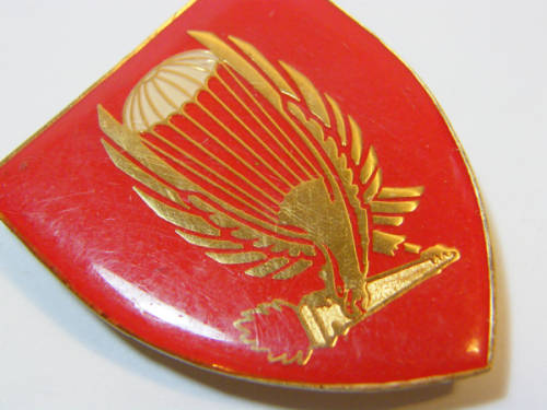 44 Parachute Brigade 3 pathfinder platoon shoulder flash