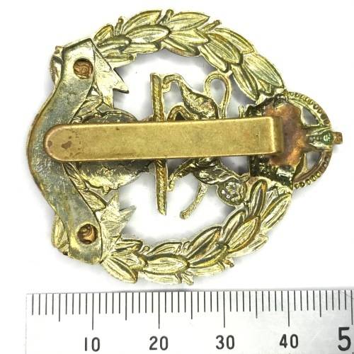 Royal Hampshire regiment cap badge with slide