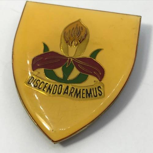 SADF Military academy shoulder flash