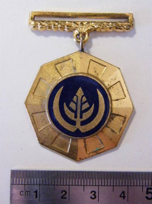 Pro Patria Swivel type medal to number 20376