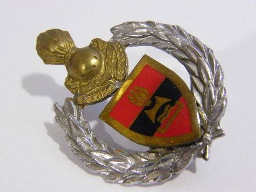 SA 2 Field Engineer Cap Badge - as per photo