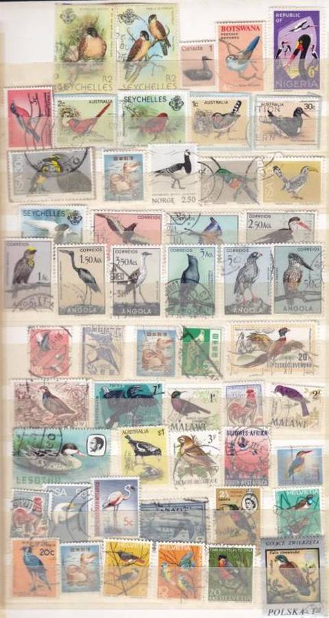 Lot of 52 Bird Stamps - all Different - as per scan