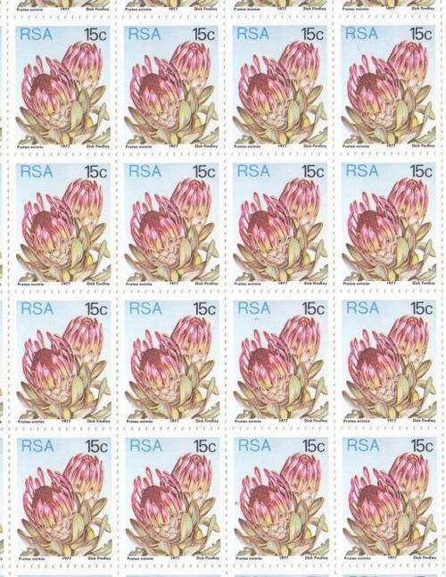 SACC 428 - Full Mint Sheets - 731-732-733-734-722 AandB Set, 15c Protea, as per scan