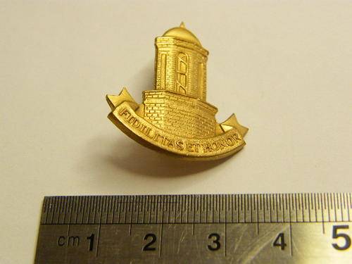 Cape Town Castle Guard Collar Badge - as per photo