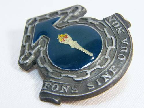 SADF Ordnance Services school cap badge - as per photo