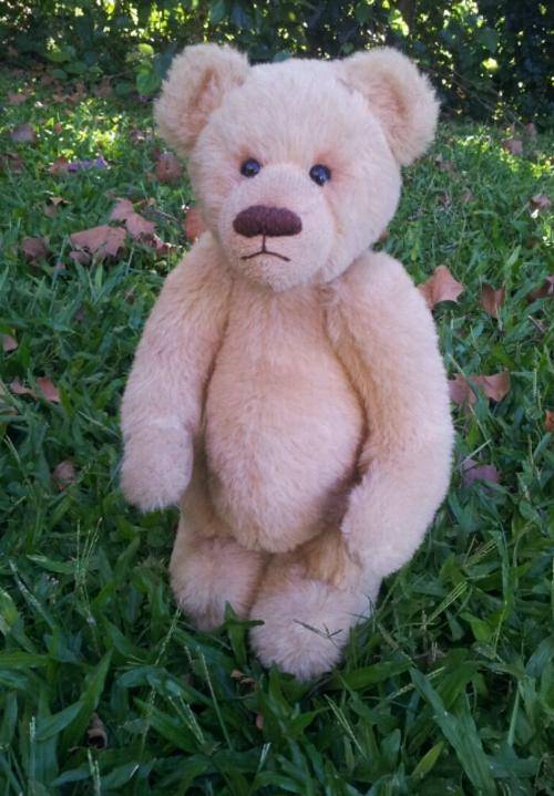 Paddy, A Pammie Handmade Bear from South Africa