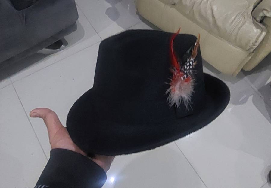 Fedora feather hat