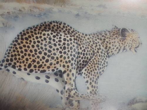 The legendary Cheetah. 3D painting under solid wood frame and glass.