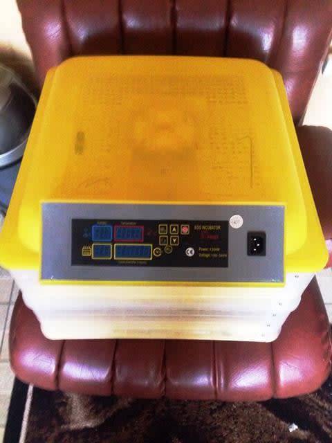 112 Egg Automatic Incubator