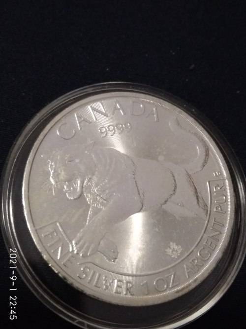 2016 1 OZ SILVER COUGAR ( HAS MILK SPOTS )