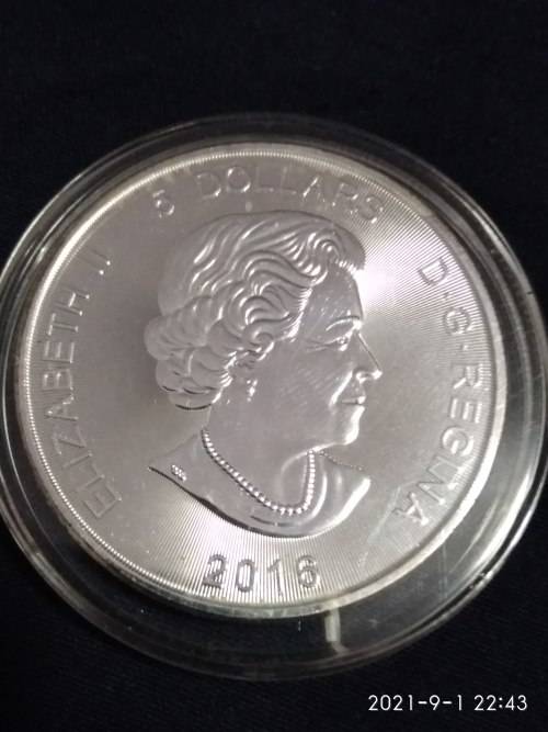 2016 1 OZ SILVER COUGAR ( HAS MILK SPOTS )
