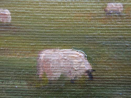 ORIGINAL B.JONES OIL PAINTING OF `BOTHEL CASTEL` SIGNED AND DATED 1988. IMPRESSIONIST COUNTRY SCENE