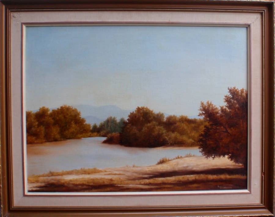 Vintage oil painting by H.Greenaway.  Classic S.African landscape beautifully executed.