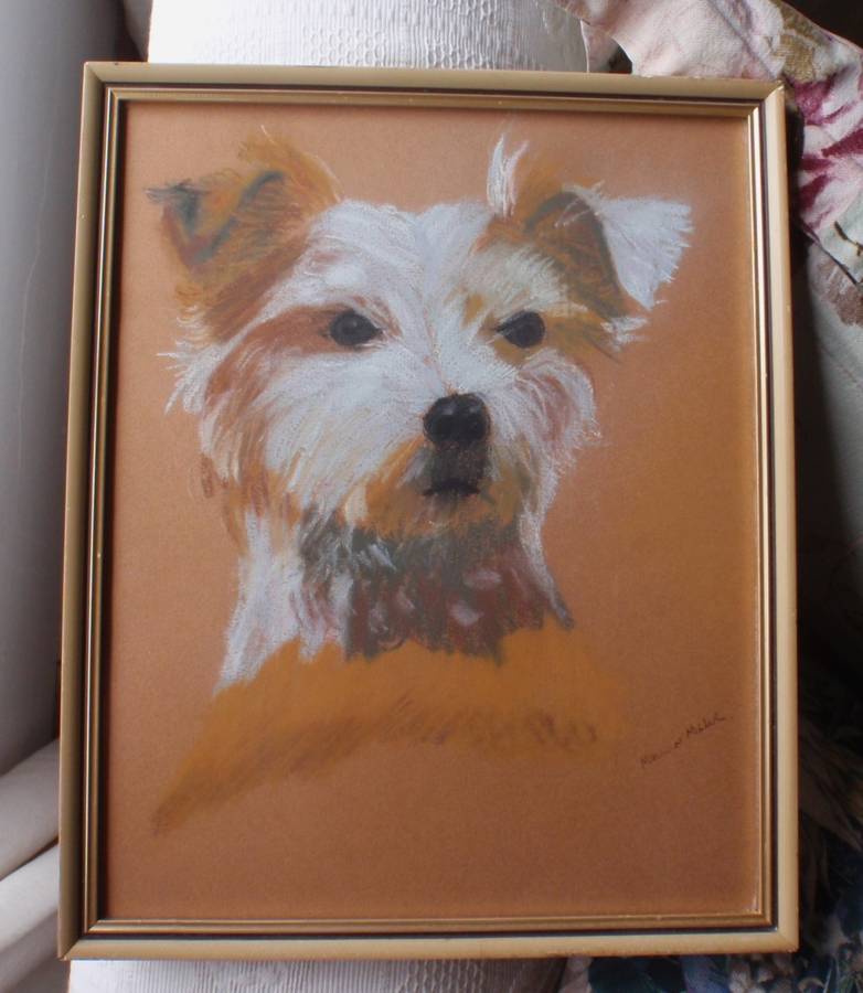 Original art- doggy pawtrait. How much is that doggy in the window pastels.  Malcolm Miller.