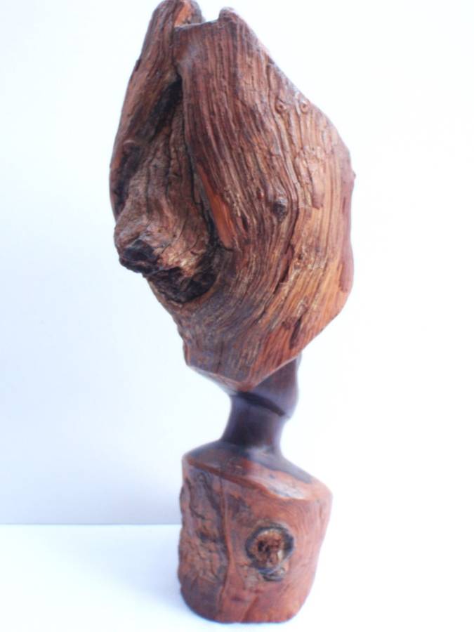 Authenic African wood carving.  Interesting, unique avant-garde dimensions and use of wood.
