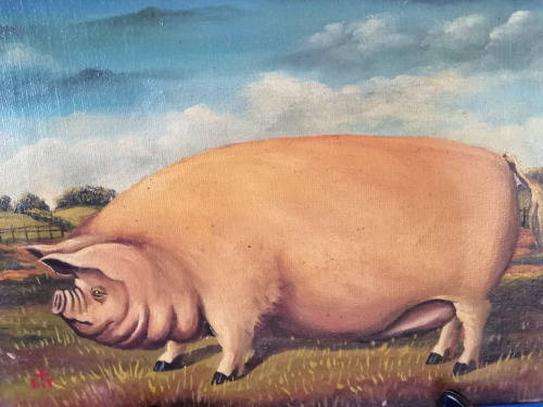 Unusual Victorian Signed Oil on Canvas of a Prize Pig *