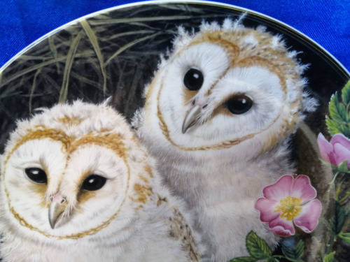 Beautiful Wedgwood China Plate The Baby Owls Series Barn Owl Chicks *