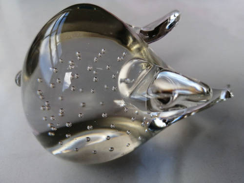 Clear Glass PIG Paperweight