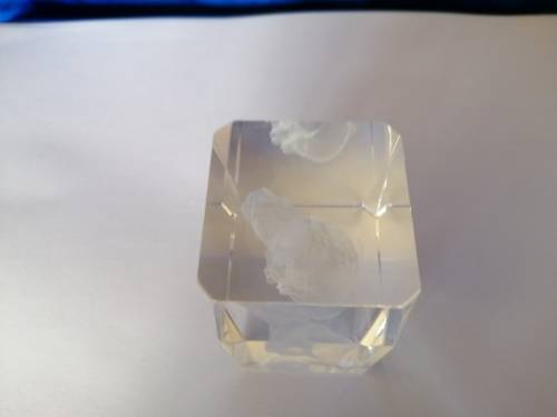 3D Laser Etched Solid Glass Crystal Cube Baby Rhino