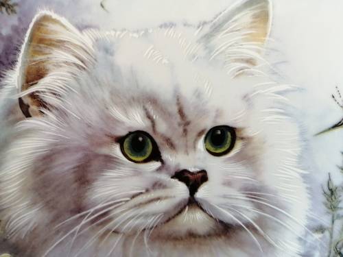 Stunning AJL Gifthouse Cute Long Hair Cat Plate