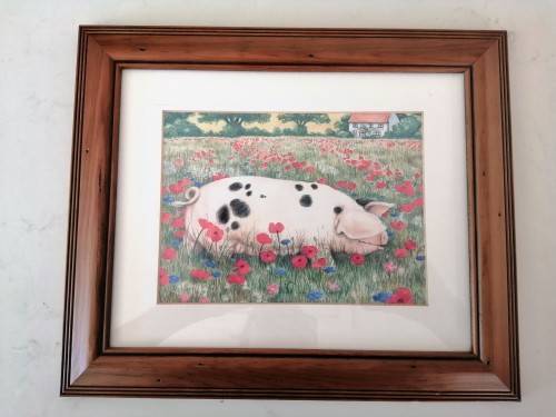 Stunning Pigs in Bloom Print `Poppy` #