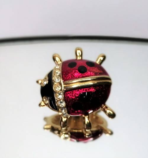 Beautiful Vintage Enamel Cyrstal Red and Black Ladybird Pin #