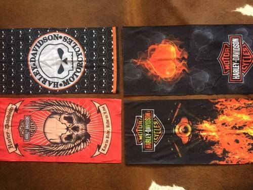 Harley davidson buff