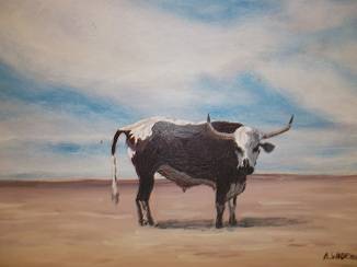 Andreas Wadehn 'Nguni cow'