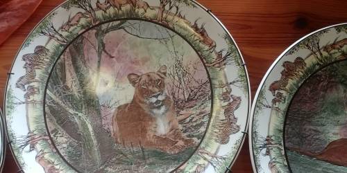 Royal Doulton:Lion plates