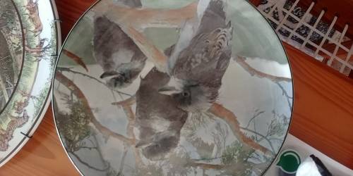 Royal Doulton bird plate