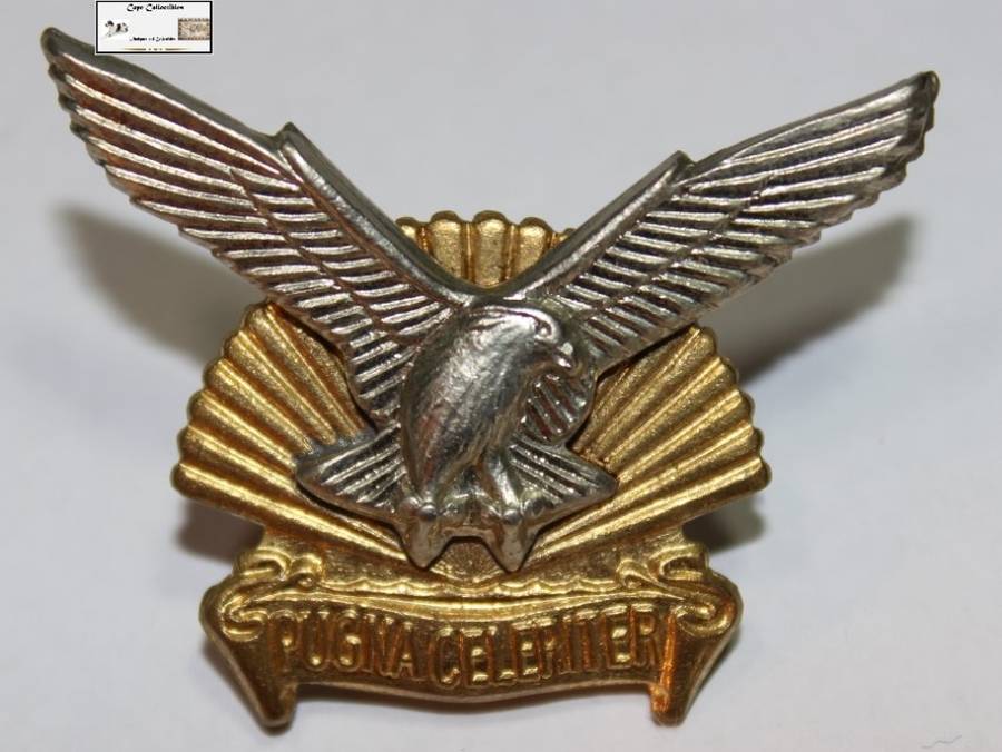 The Durban Regiment Badge.