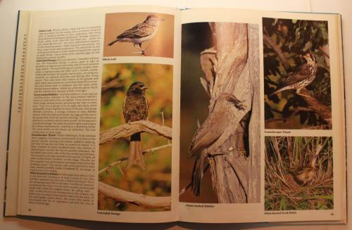 Everyone`s Guide To South African Birds Photographs by Peter Johnson Hardcover Book
