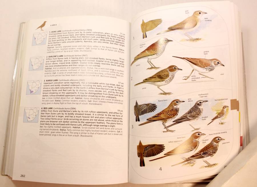 Sasol Birds of Southern Africa Softcover Book Third Edition