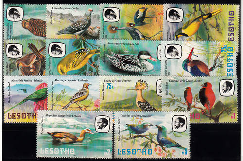 THEMATICS BIRDS MIXED LOT