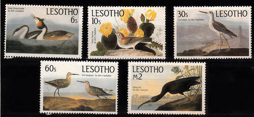 THEMATICS BIRDS MIXED LOT
