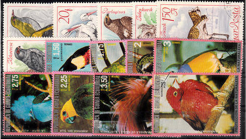 THEMATIC BIRDS