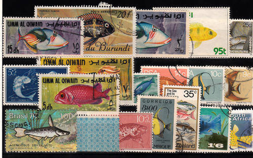 THEMATIC MARINE LIFE\ FISH 2 SCANS