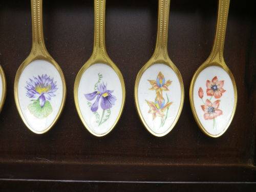 FOR JENNY ONLY PLEASE!! TWELVE 24ct Gold Plated Teaspoons with handpainted SA wild Flowers.