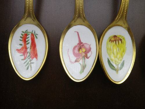 FOR JENNY ONLY PLEASE!! TWELVE 24ct Gold Plated Teaspoons with handpainted SA wild Flowers.