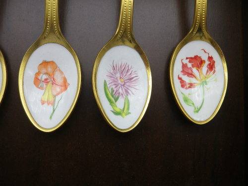 FOR JENNY ONLY PLEASE!! TWELVE 24ct Gold Plated Teaspoons with handpainted SA wild Flowers.