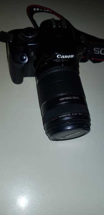 CANON EOS KISS X2(450D equiv)  Canon EF-S 55-250mm IS Lens