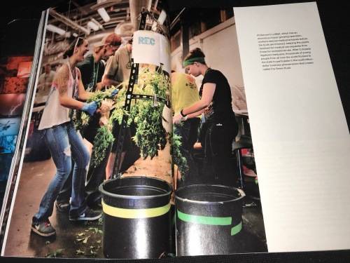 NATIONAL GEOGRAPHIC MAGAZINE JUNE 2015 WEED THE NEW SCIENCE OF MARIJUANA
