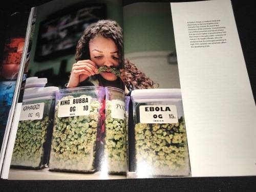 NATIONAL GEOGRAPHIC MAGAZINE JUNE 2015 WEED THE NEW SCIENCE OF MARIJUANA