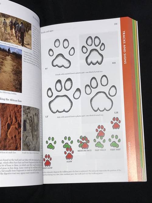 THE BUSHVELD INCLUDING THE KRUGER LOWVELD BY LEE GUTTERIDGE 2ND EDITION