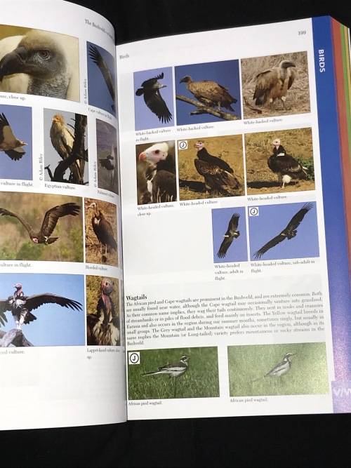 THE BUSHVELD INCLUDING THE KRUGER LOWVELD BY LEE GUTTERIDGE 2ND EDITION