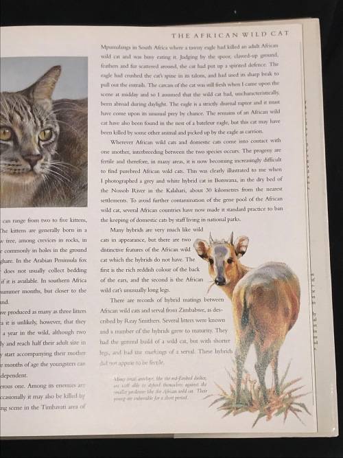 CATS OF AFRICA BY PAUL BOSMAN AND ANTHONY HALL-MARTIN