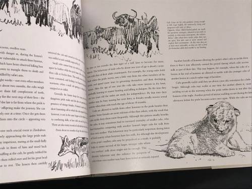 CATS OF AFRICA BY PAUL BOSMAN AND ANTHONY HALL-MARTIN