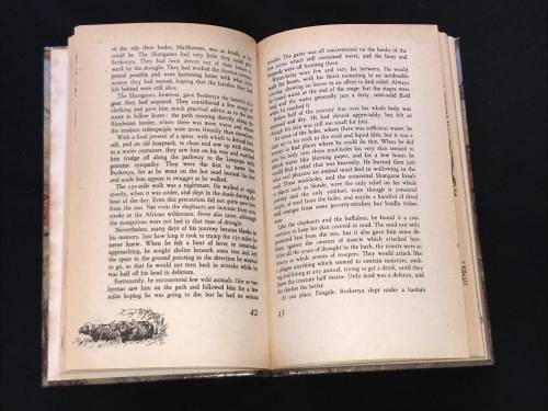 THE IVORY TRAIL BY T.V. BULPIN