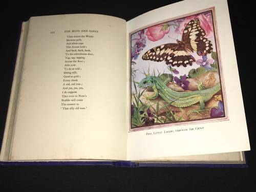 POEMS OF A SOUTH AFRICAN THE COLLECTED VERSE OF A. VINE HALL ILLUSTRATED VERSION