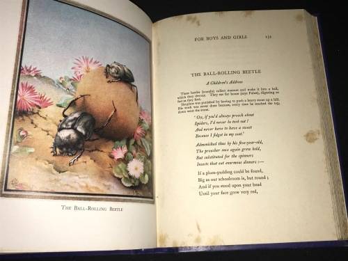 POEMS OF A SOUTH AFRICAN THE COLLECTED VERSE OF A. VINE HALL ILLUSTRATED VERSION